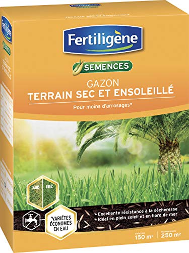 Fertiligène - Césped para Terreno Seco y Soleado, 250 m², 150 m² Embalaje Deteriorado Hot on Sale